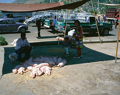 100421-0145.jpg