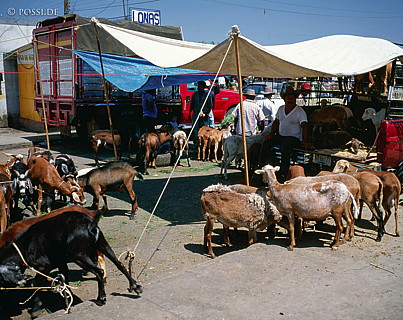 100421-0147.jpg