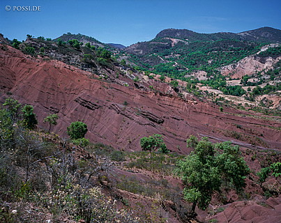 100422-0155.jpg