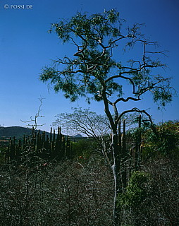 100422-0160.jpg