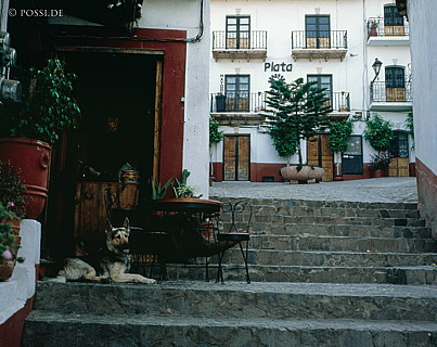 100422-0179.jpg