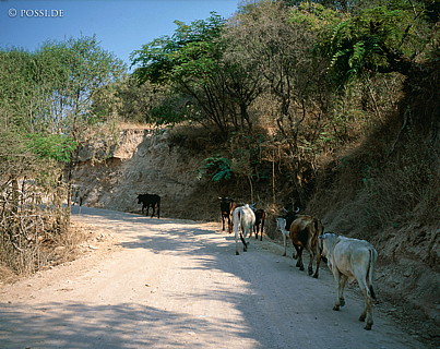100422-0184.jpg
