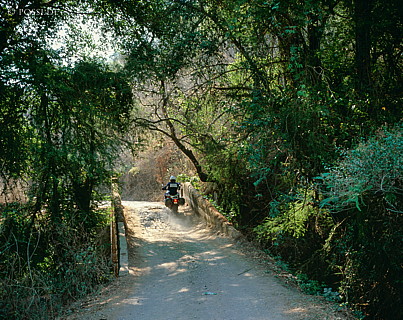 100422-0185.jpg