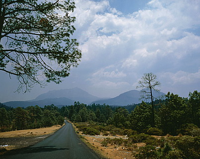 100422-0187.jpg