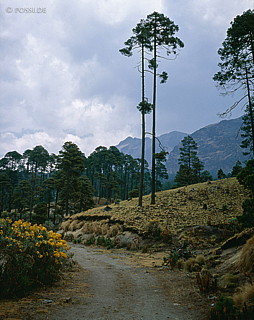 100422-0190.jpg