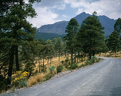 100422-0191.jpg