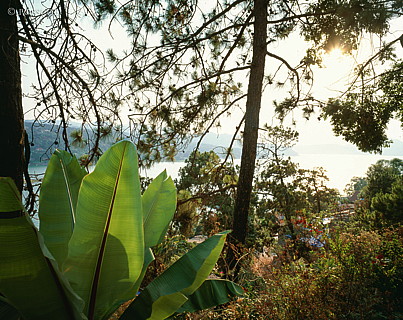 100424-0205.jpg