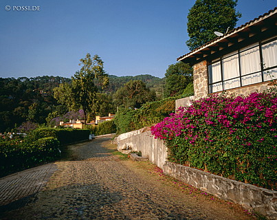 100424-0207.jpg