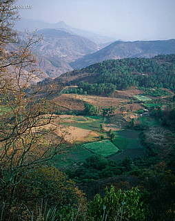 100424-0216.jpg