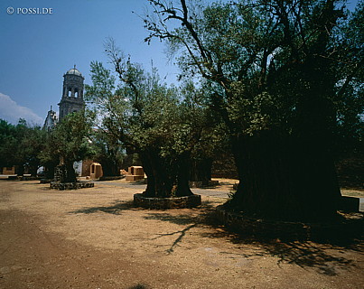 100424-0220.jpg