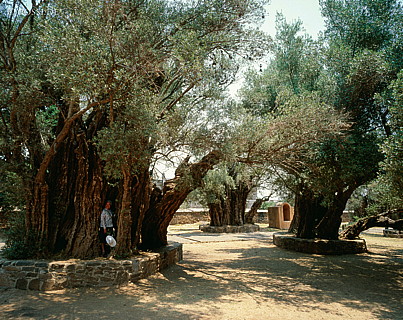 100424-0221.jpg