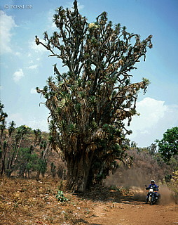 100424-0224.jpg
