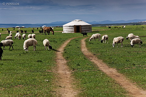 110805-1267.jpg