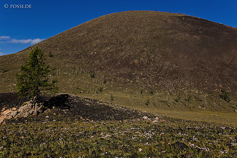 110807-2042.jpg