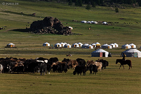 110807-2075.jpg