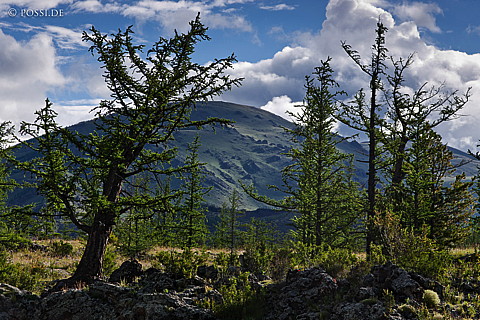 110807-2102.jpg