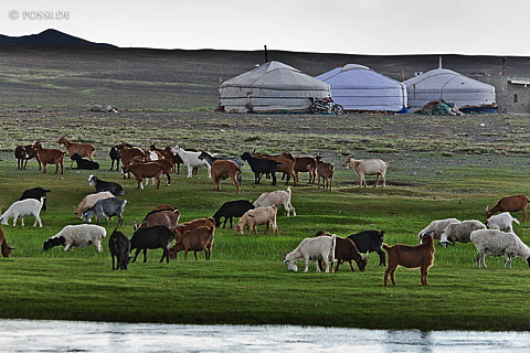 110809-2584.jpg