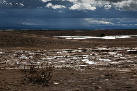 110815-3858.jpg