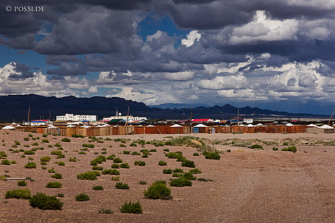 110816-4161.jpg