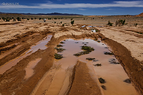 110817-4331.jpg