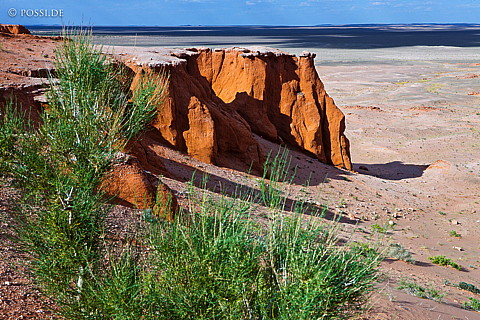 110820-5198.jpg