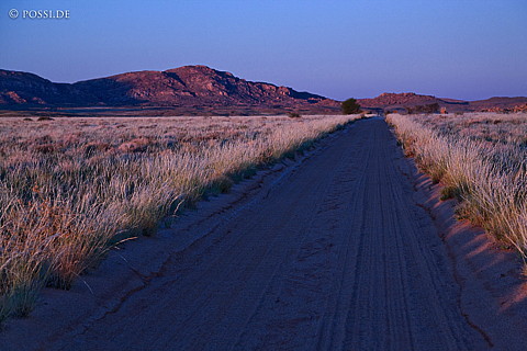 080408-2768.jpg