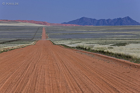 080409-2780.jpg