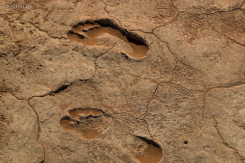 080410-3034.jpg