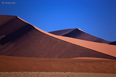 080410-3071.jpg