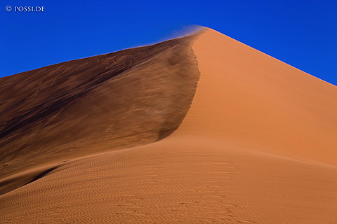 080410-3101.jpg