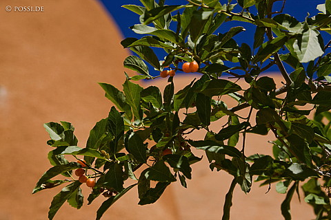 080412-3341.jpg