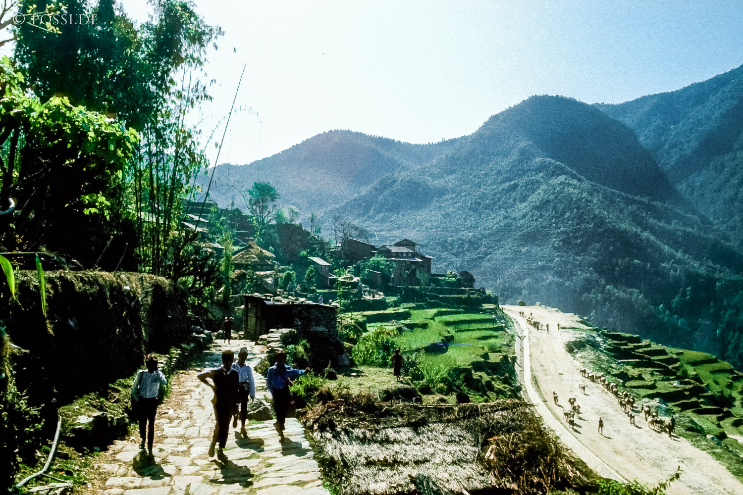 100402-0263.jpg