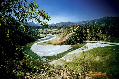 100402-0058.jpg