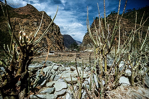 100402-0201.jpg