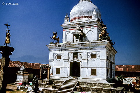 100402-0214.jpg