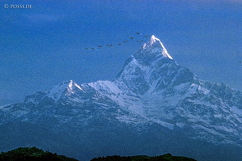 100402-0258.jpg