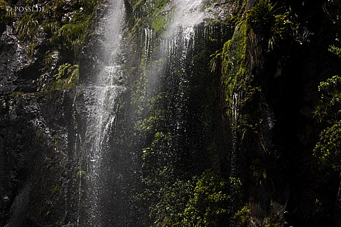 090110-1809.jpg
