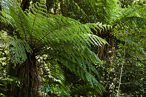 090110-2033.jpg