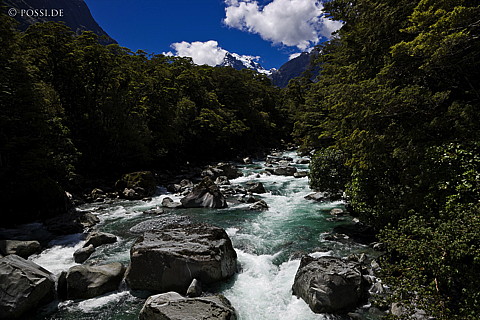 090110-2069.jpg