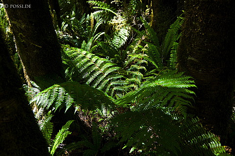 090111-2188.jpg