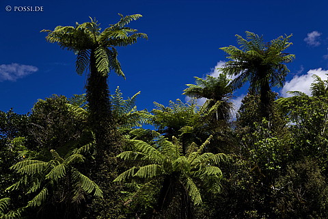 090111-2209.jpg