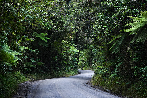 090111-2211.jpg