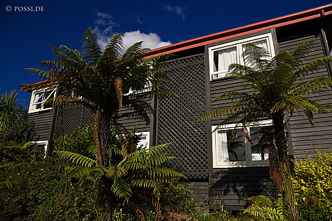 090111-2242.jpg