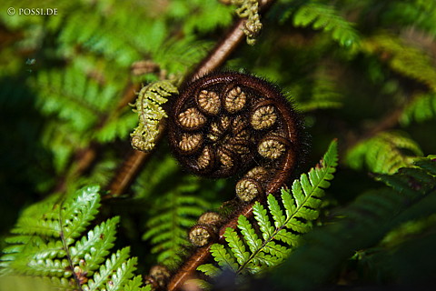 090111-2251.jpg