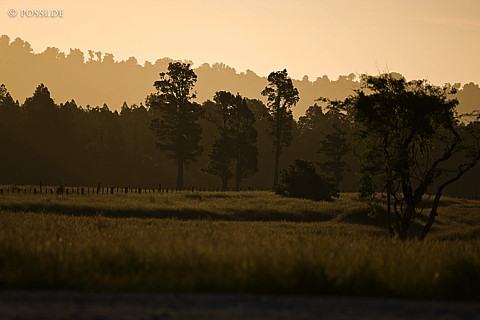 090111-2289.jpg