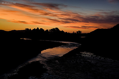 090111-2370.jpg