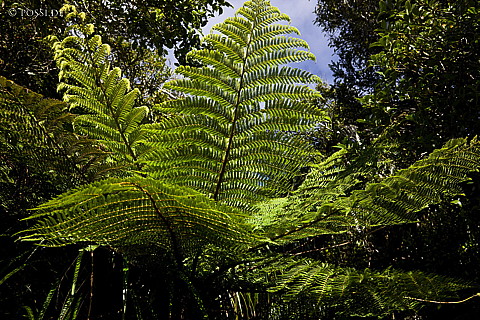 090112-2762.jpg