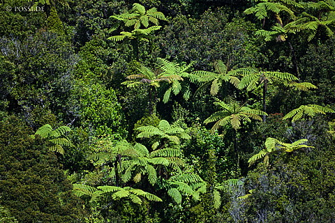 090112-2773.jpg
