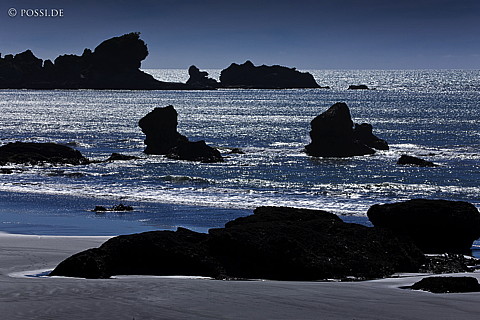 090112-2789.jpg