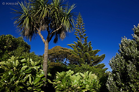 090112-2801.jpg